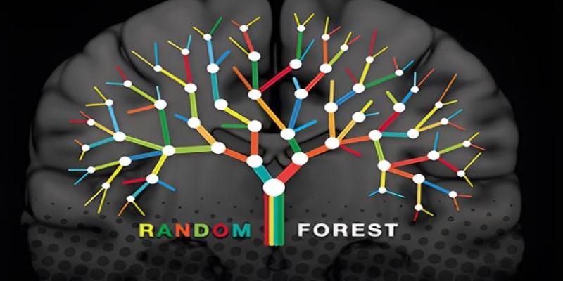 Understanding the Random Forest Algorithm in Machine Learning: A Clear Guide